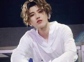 娱乐圈吃瓜白鹿蔡徐坤,白鹿与蔡徐坤的瓜界传奇