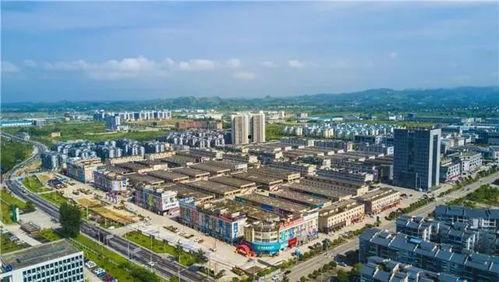 梁平个人资料,才华横溢的青年才俊，多领域成就斐然