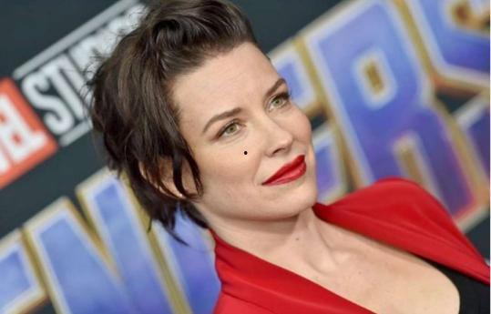 一代黄蜂女演员,璀璨星途与传奇人生